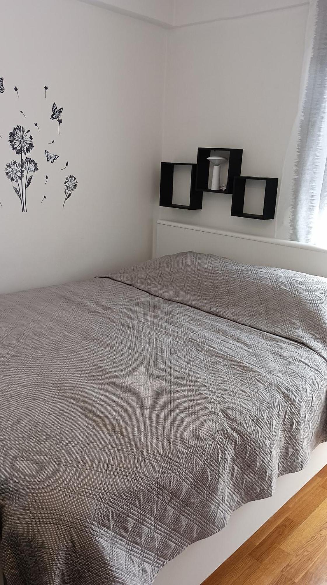 Apartment Fontana Felicita 扎达尔 外观 照片